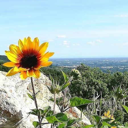 B&B Ca Montemezzano Verona Bagian luar foto