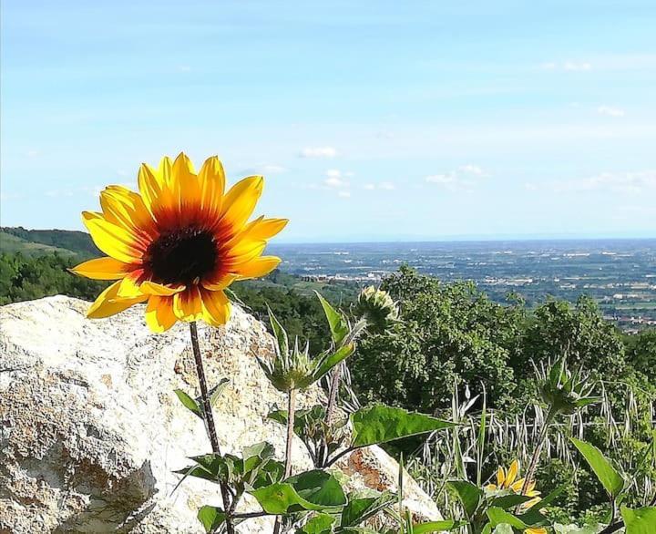 B&B Ca Montemezzano Verona Bagian luar foto